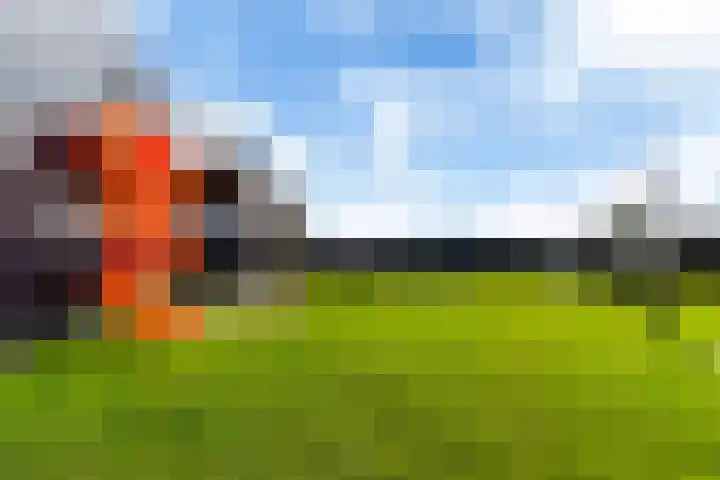 Celsiusweg 8 Joure thumbnail 75