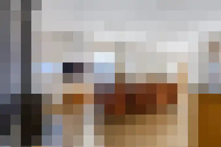 Celsiusweg 8 Joure thumbnail 8