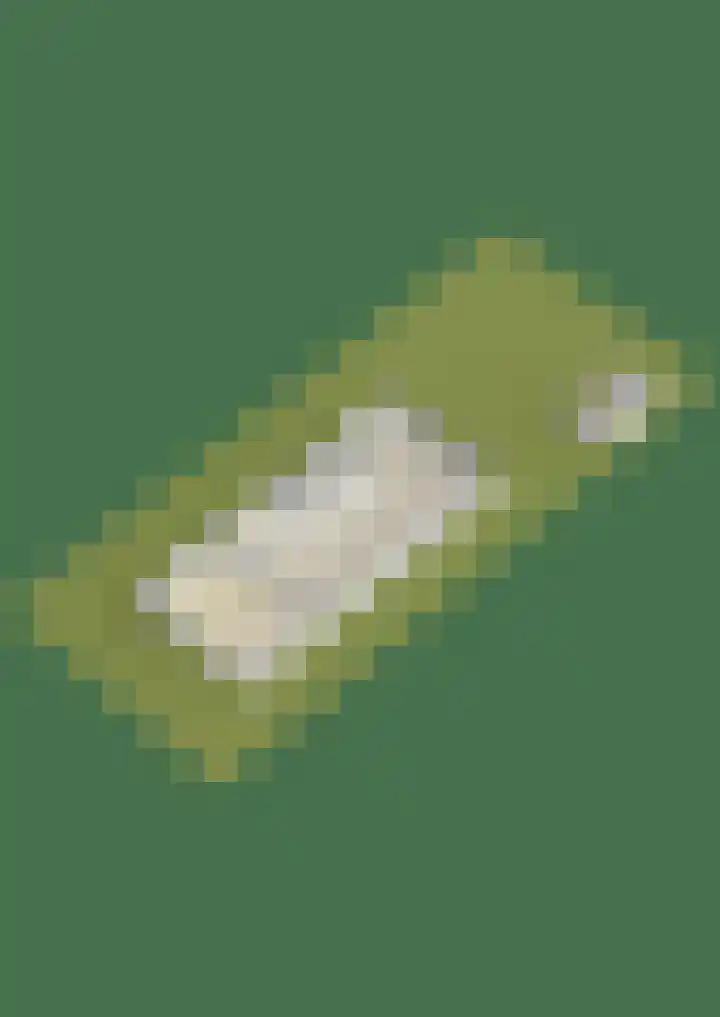 Celsiusweg 8 Joure thumbnail 90