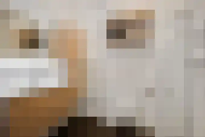 Cementhof 1 Hillegom thumbnail 18