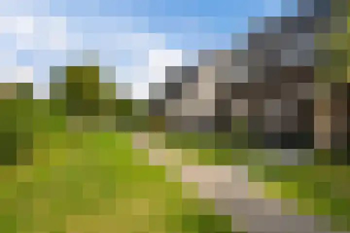 Cementhof 1 Hillegom thumbnail 28