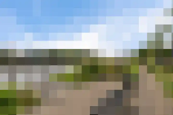 Cementhof 1 Hillegom thumbnail 29