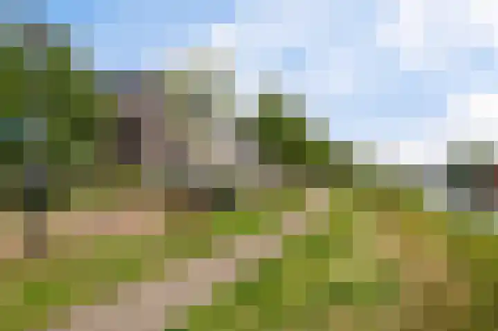 Cementhof 1 Hillegom thumbnail 31
