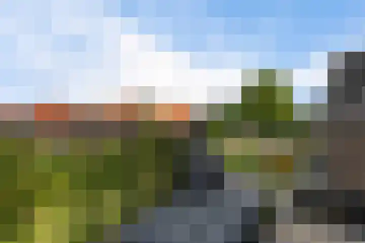 Cementhof 1 Hillegom thumbnail 5