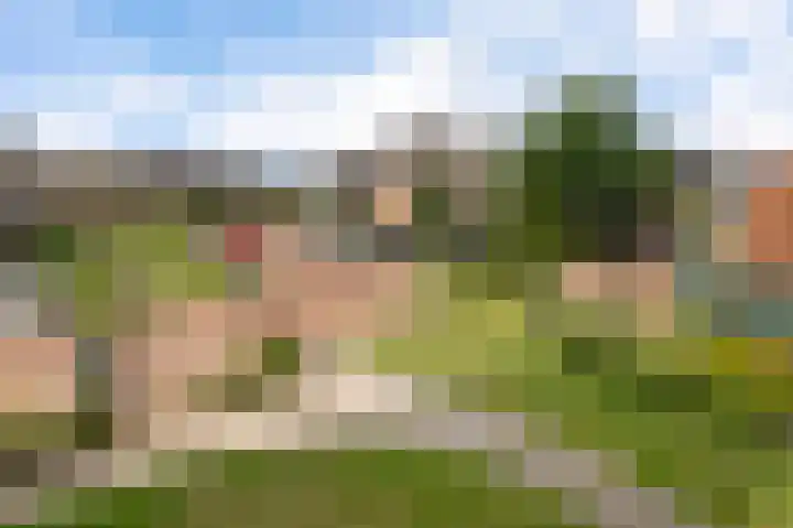 Cementhof 1 Hillegom thumbnail 7