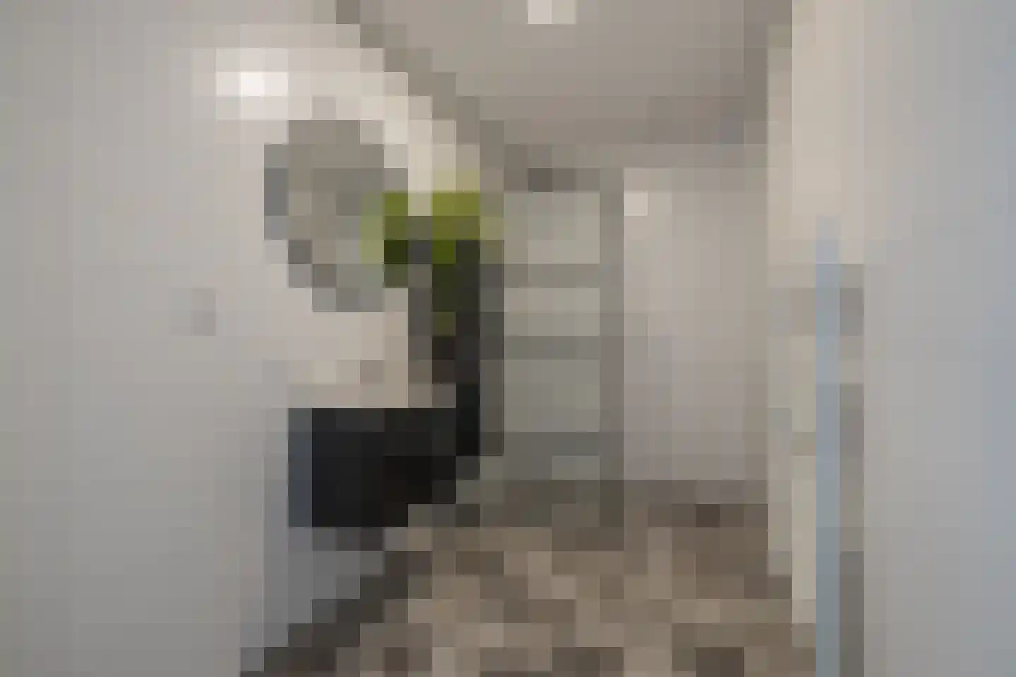Cementhof 14 Hillegom thumbnail 21