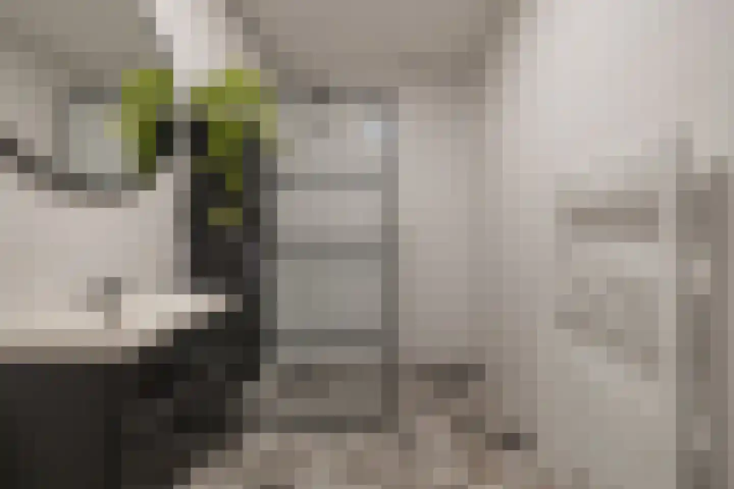 Cementhof 14 Hillegom thumbnail 22
