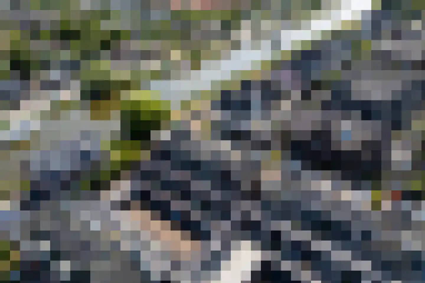 Cementhof 14 Hillegom thumbnail 50