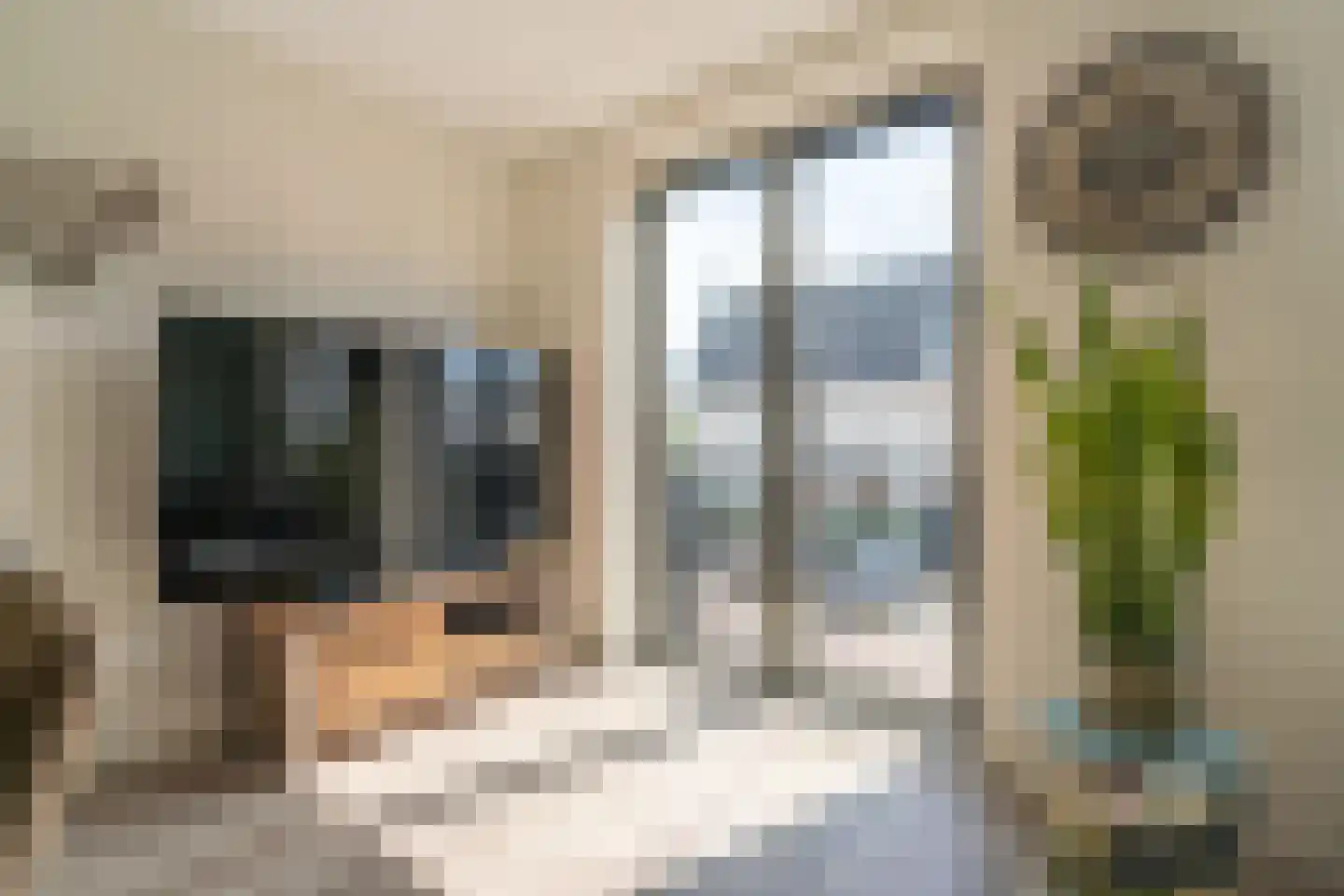 Cementhof 16 Hillegom thumbnail 6