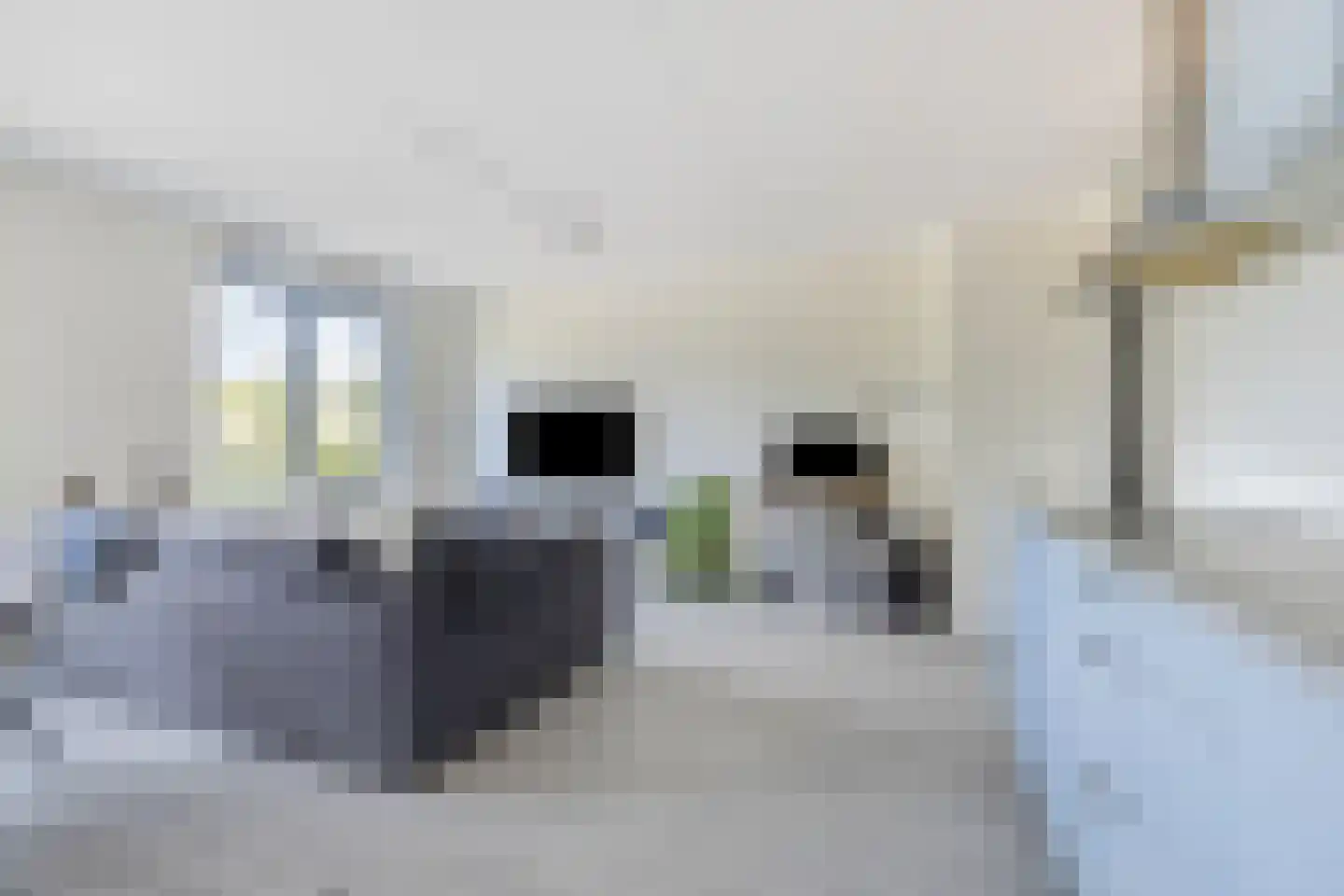 Cementhof 5 Hillegom thumbnail 17