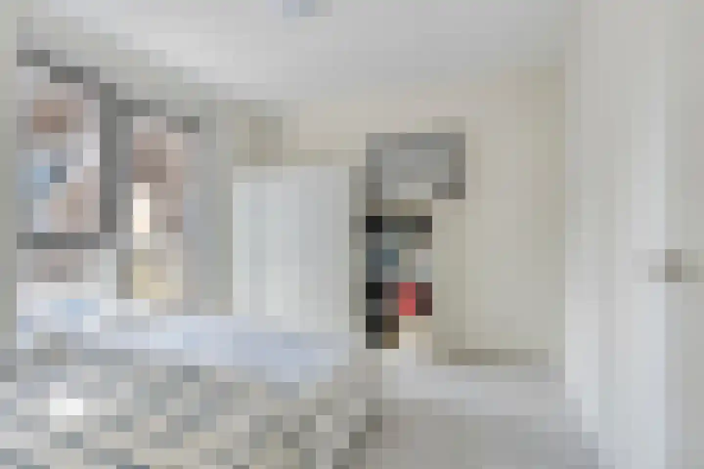 Cementhof 5 Hillegom thumbnail 20