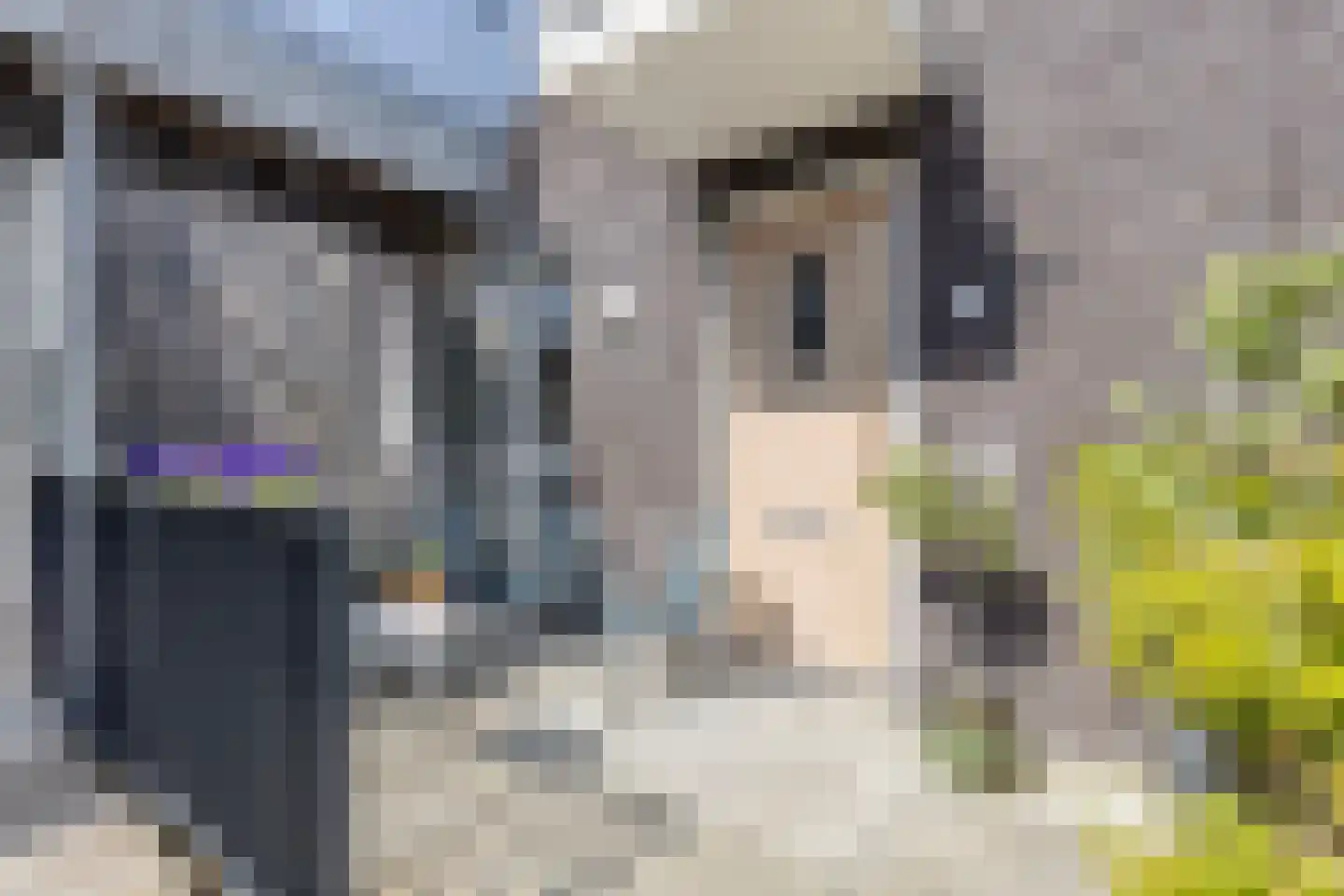 Cementhof 5 Hillegom thumbnail 7