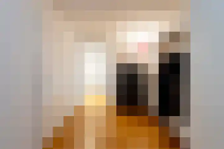 Cenakel 78 Tilburg thumbnail 10