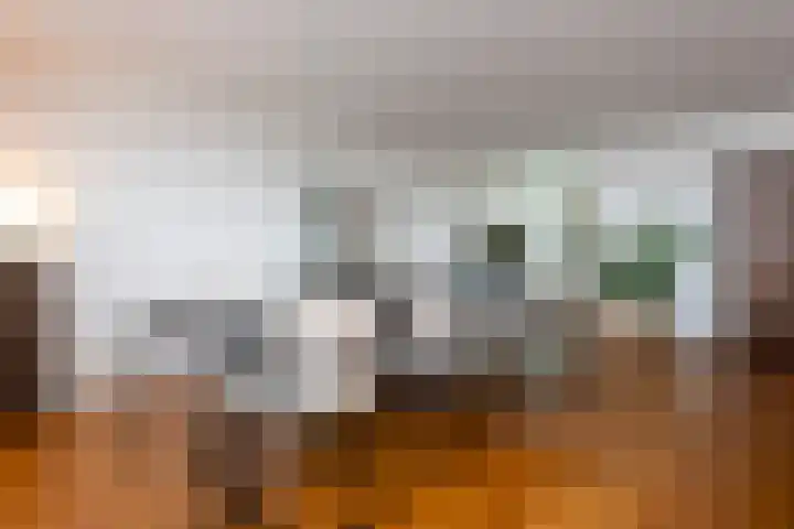 Cenakel 78 Tilburg thumbnail 17