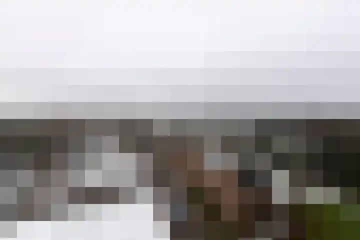 Cenakel 78 Tilburg thumbnail 25