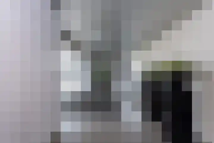 Cenakel 78 Tilburg thumbnail 8