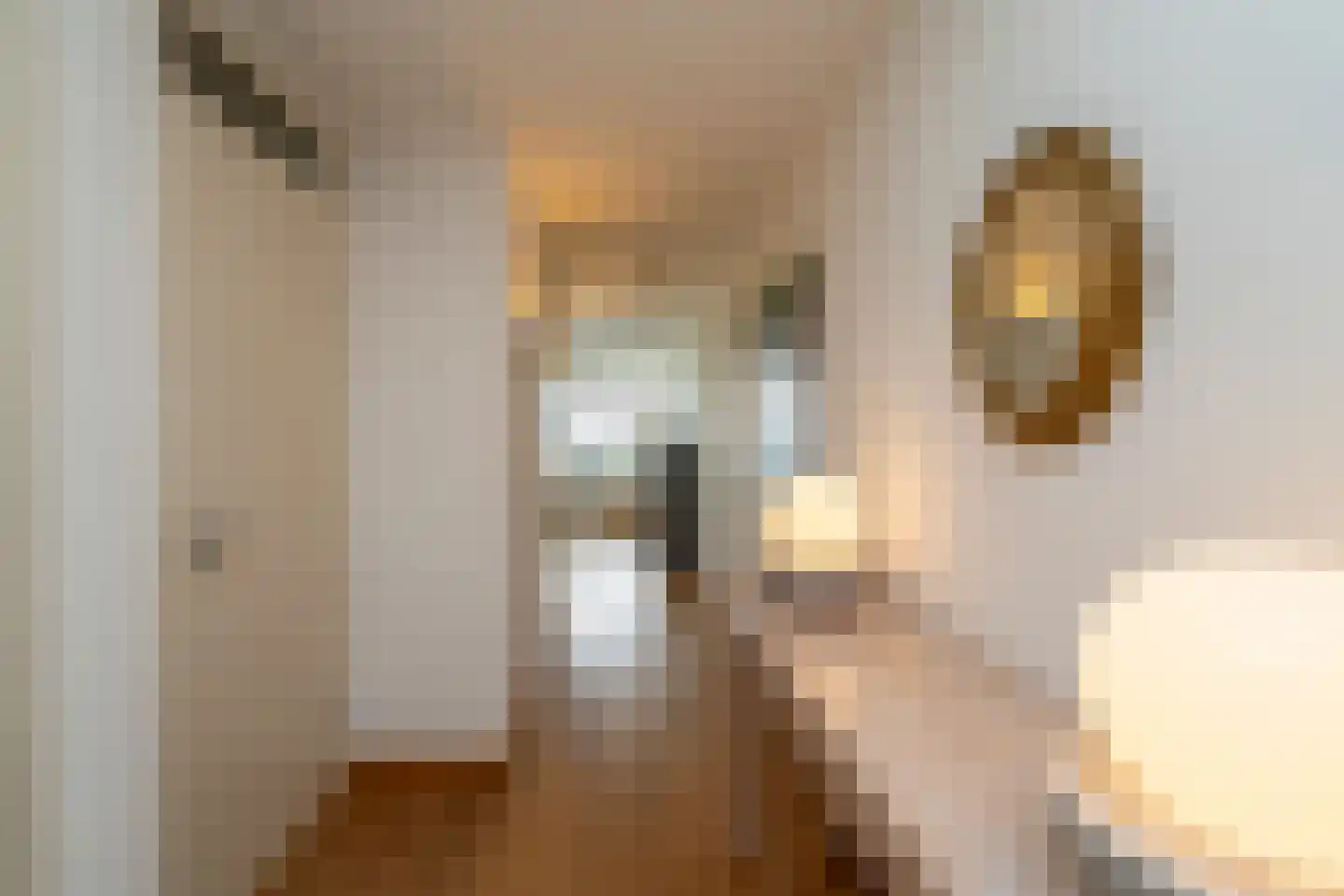 Cenakel 89 Tilburg thumbnail 10
