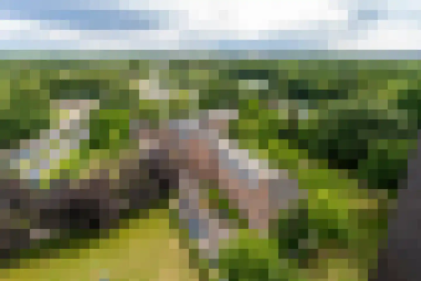 Cenakel 89 Tilburg thumbnail 19