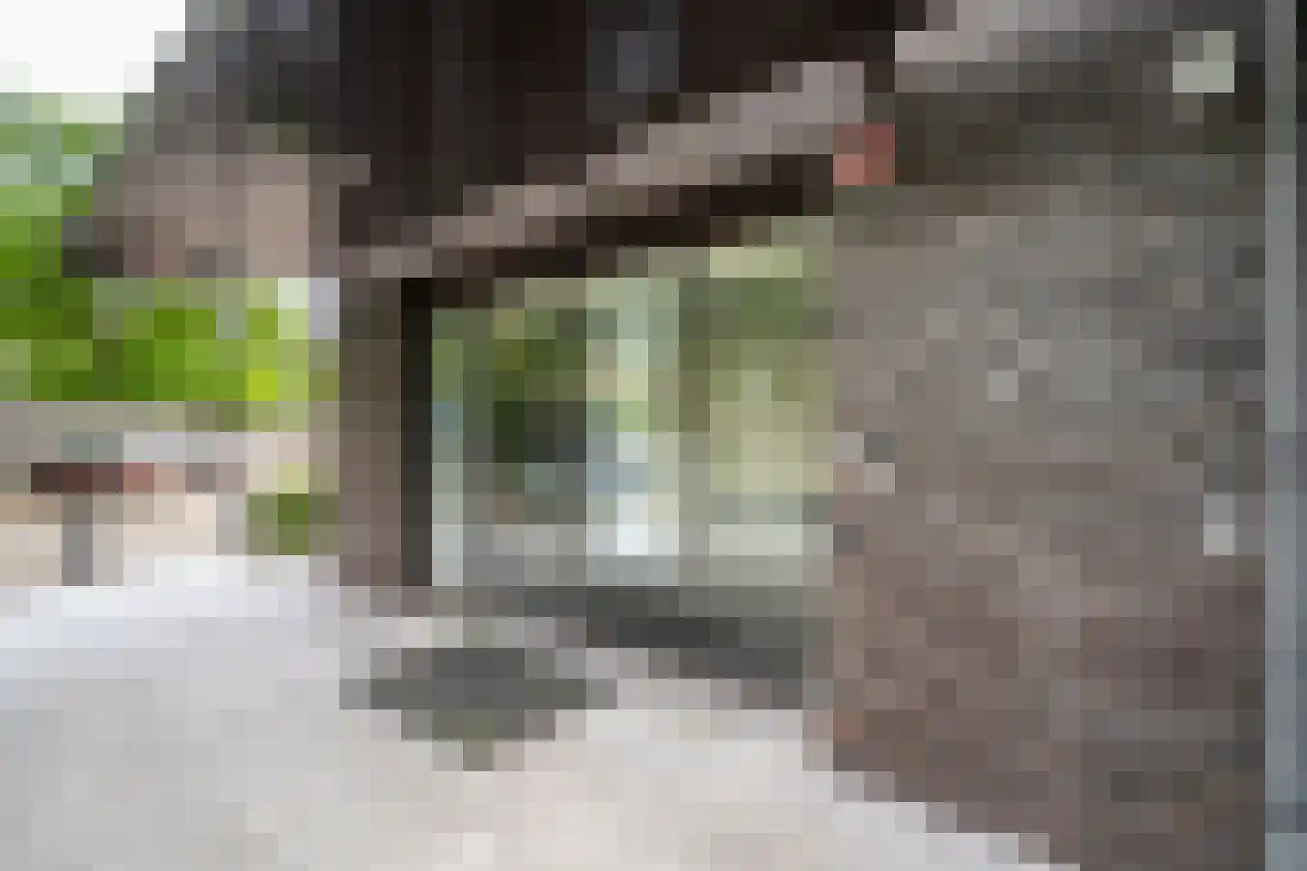 Cenakel 89 Tilburg thumbnail 7