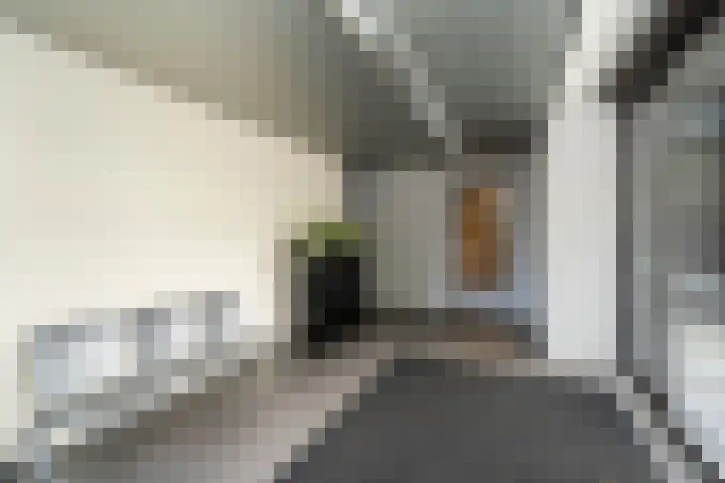 Cenakel 89 Tilburg thumbnail 8