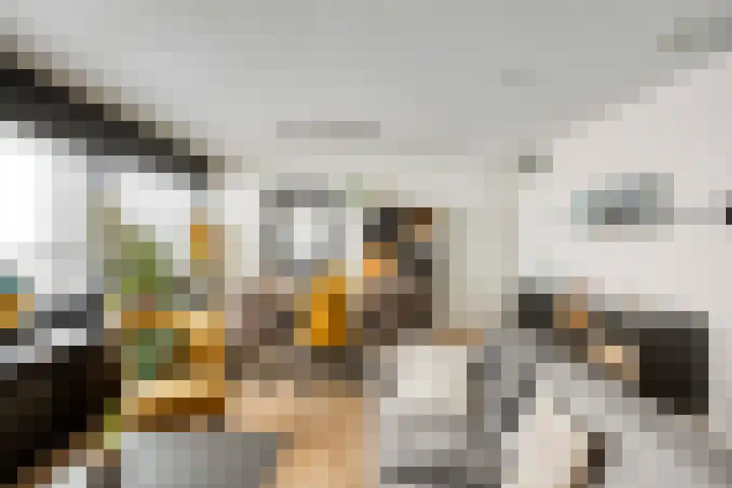 Cenakel 93 Tilburg thumbnail 14
