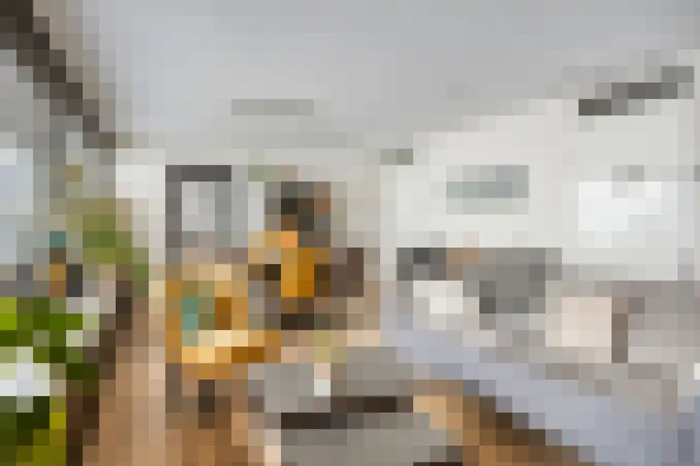 Cenakel 93 Tilburg thumbnail 15