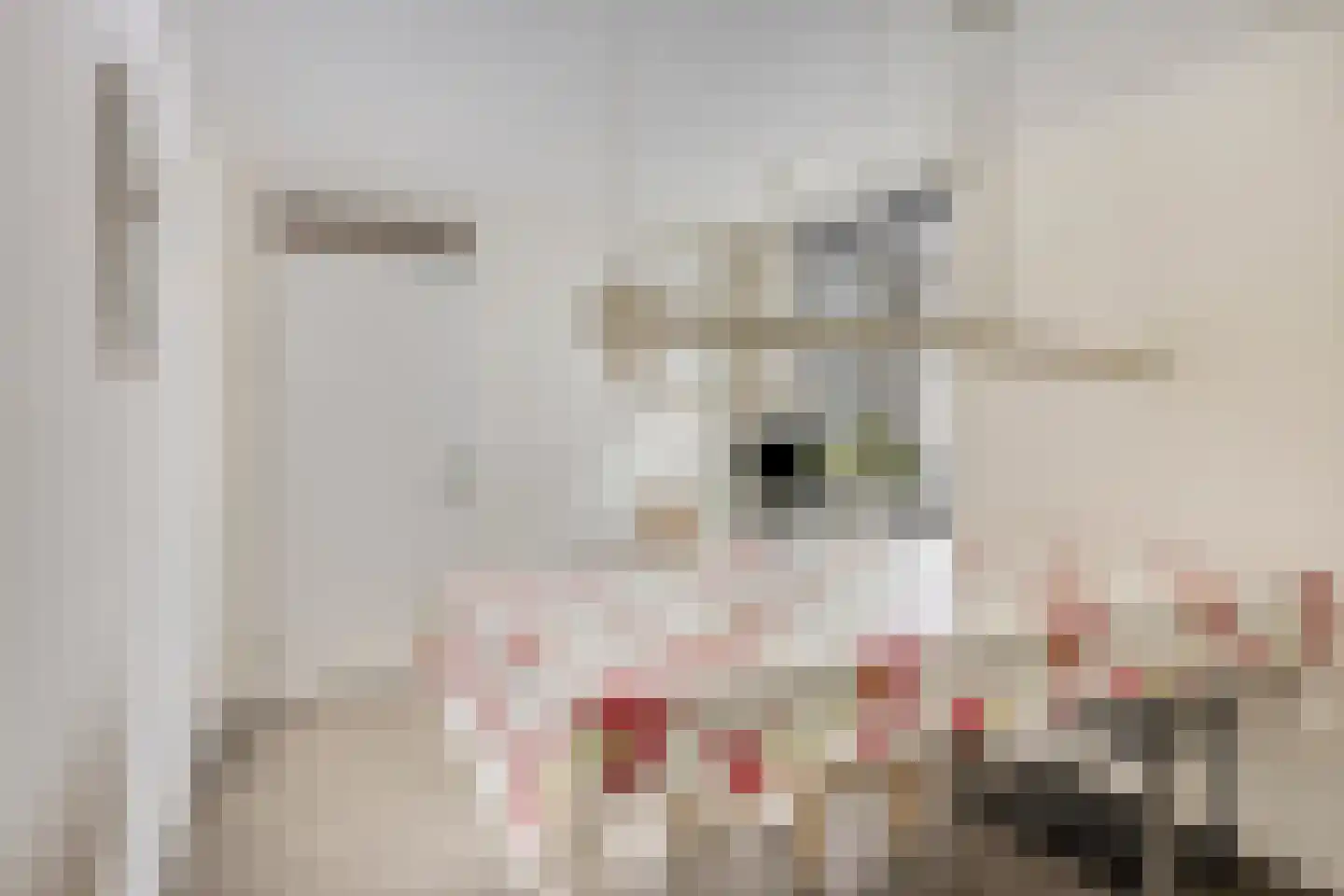 Cenakel 93 Tilburg thumbnail 28