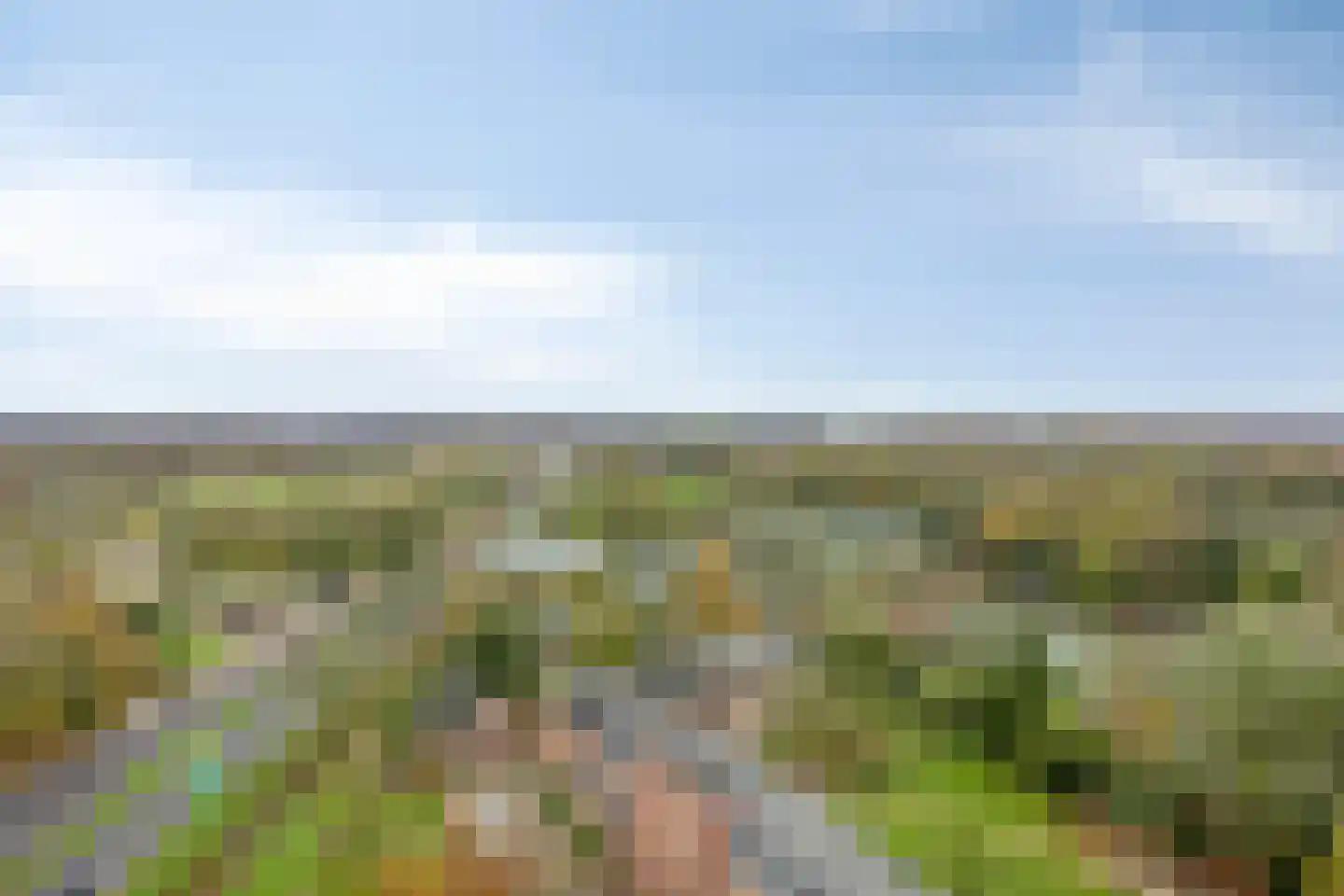 Cenakel 93 Tilburg thumbnail 5