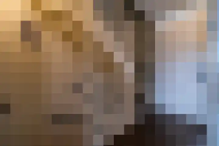 Centaur 12 Vinkeveen thumbnail 10