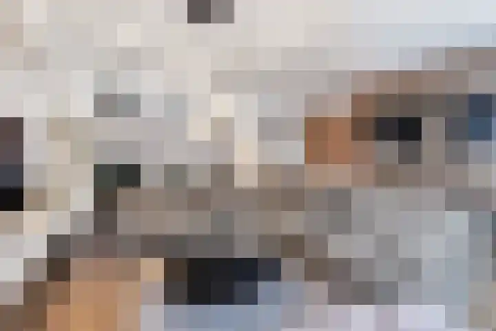 Centaur 12 Vinkeveen thumbnail 8