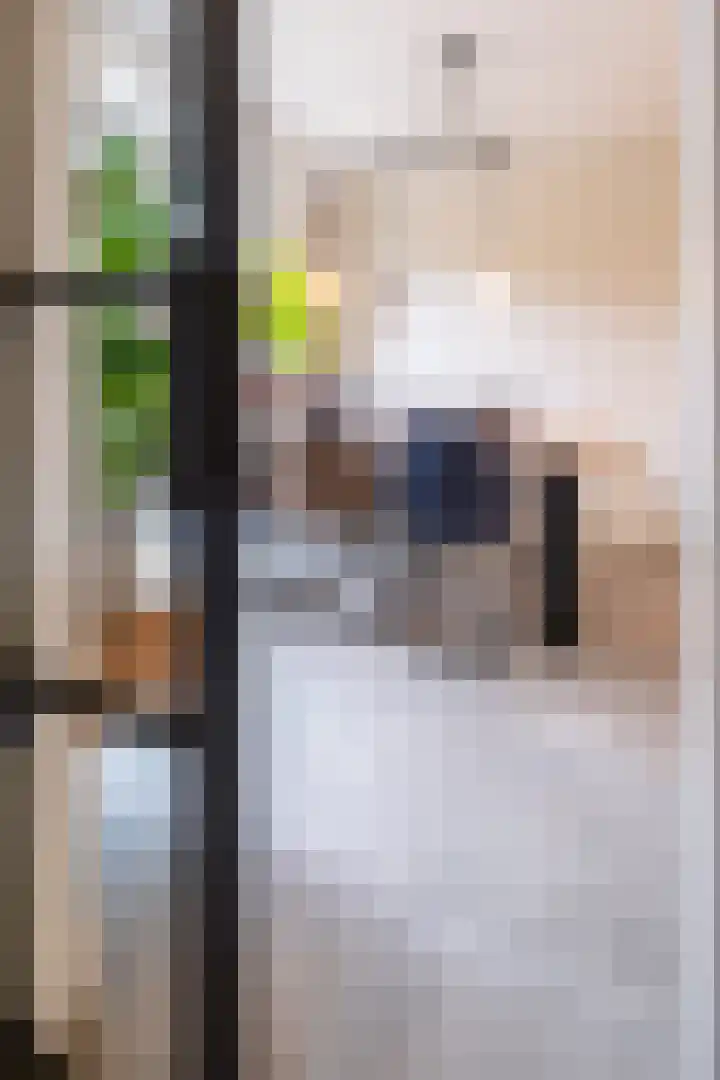 Centaur 4 Vinkeveen thumbnail 14