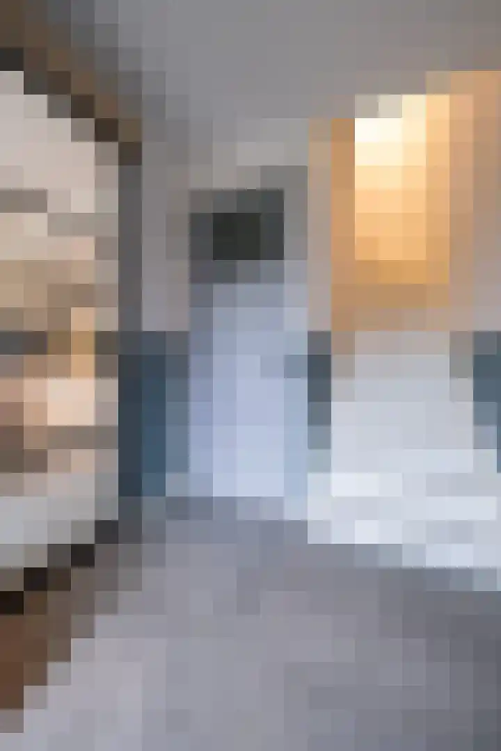 Centaur 4 Vinkeveen thumbnail 15