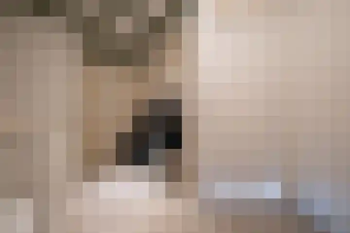 Centaur 4 Vinkeveen thumbnail 24