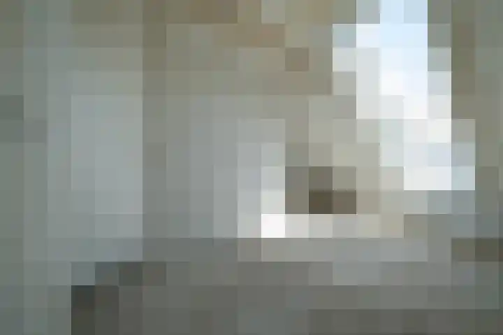 Centaur 4 Vinkeveen thumbnail 26