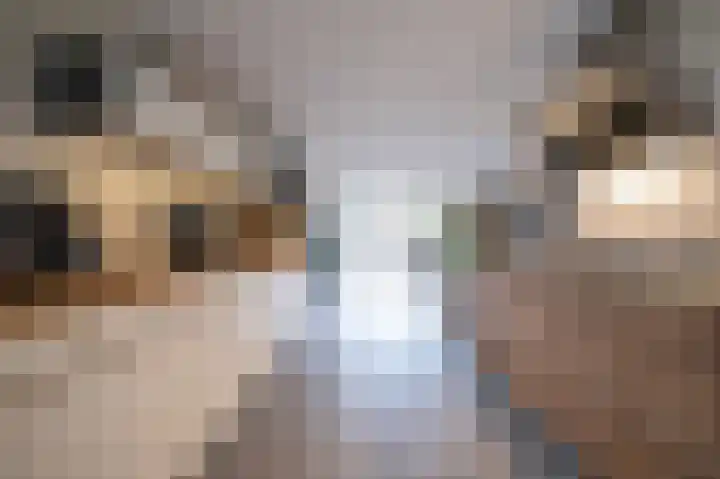 Centaur 4 Vinkeveen thumbnail 5