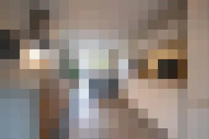 Centaur 4 Vinkeveen thumbnail 7
