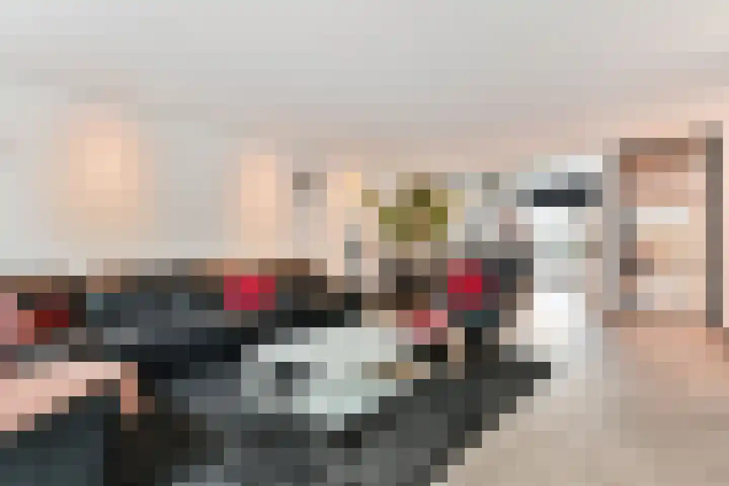 Centauri 5 Waddinxveen thumbnail 27