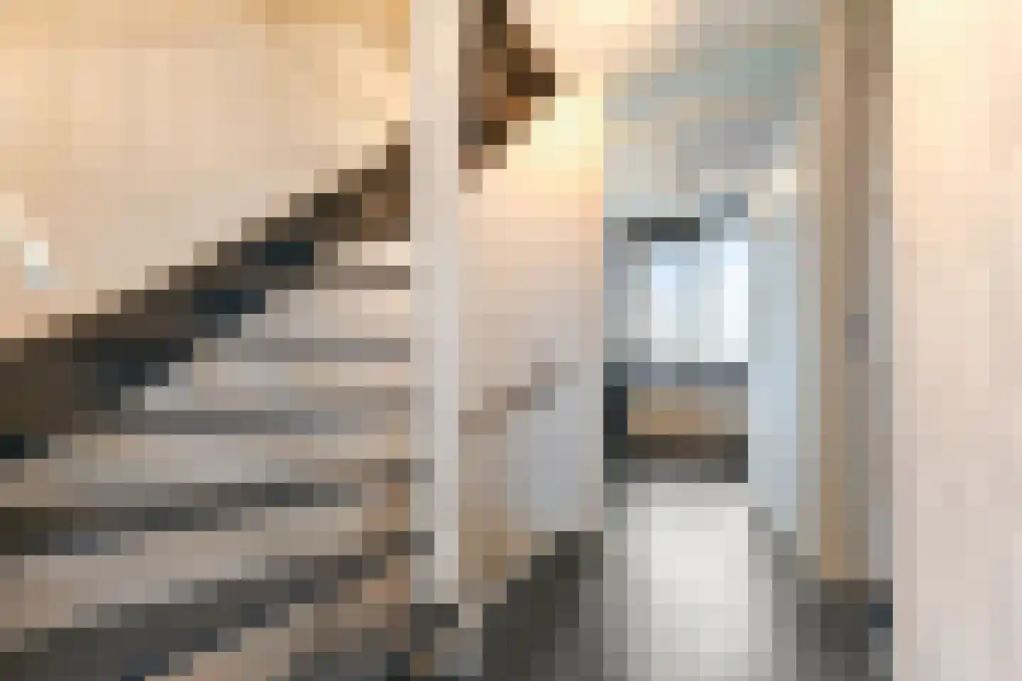Centauri 5 Waddinxveen thumbnail 37