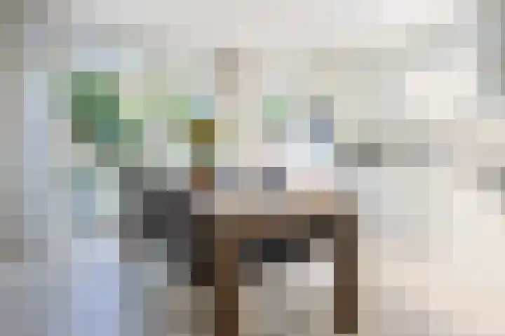 Centauriestraat 10 Eindhoven thumbnail 10