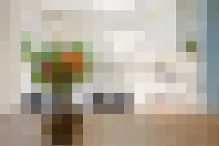 Centauriestraat 10 Eindhoven thumbnail 11