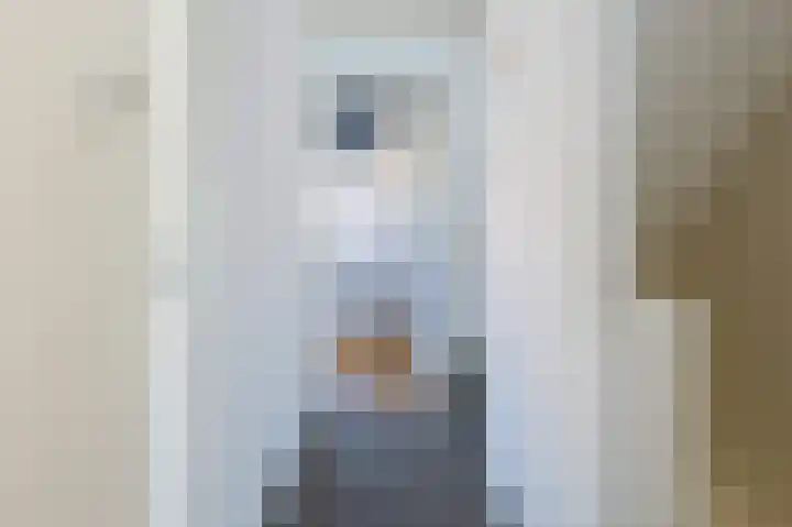 Centauriestraat 10 Eindhoven thumbnail 22