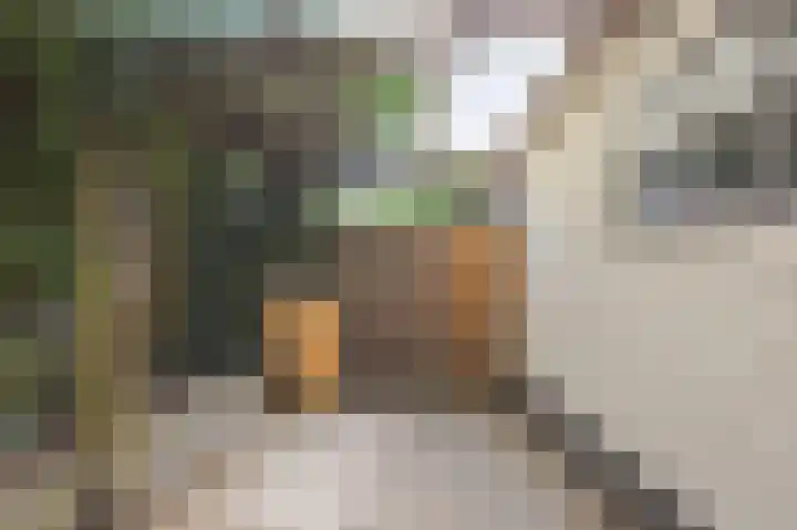 Centauriestraat 10 Eindhoven thumbnail 41