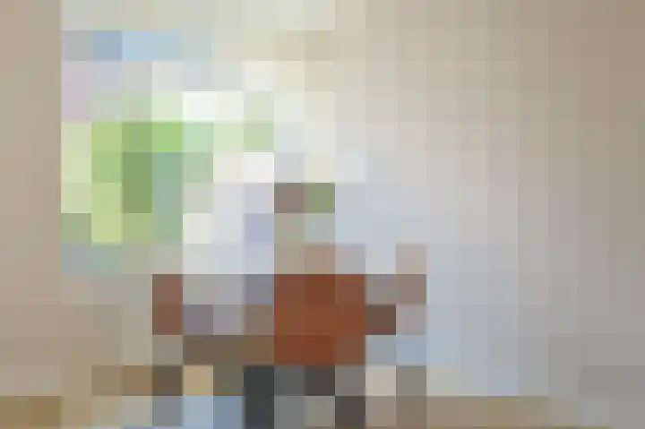 Centauriestraat 2 Eindhoven thumbnail 12