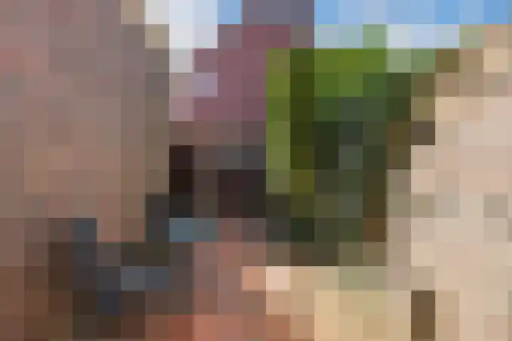 Centauriestraat 2 Eindhoven thumbnail 17