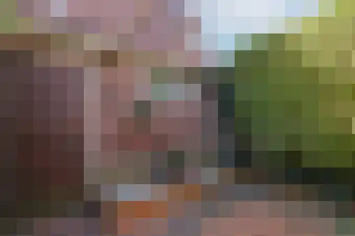 Centauriestraat 2 Eindhoven thumbnail 18