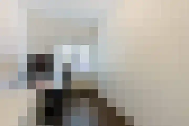 Centauriestraat 2 Eindhoven thumbnail 20