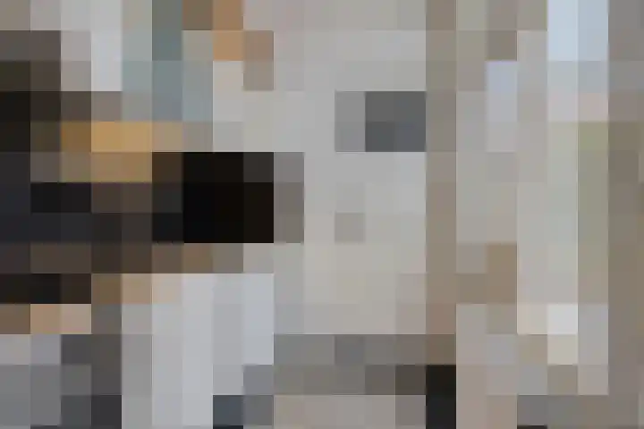 Centauriestraat 27 Eindhoven thumbnail 18