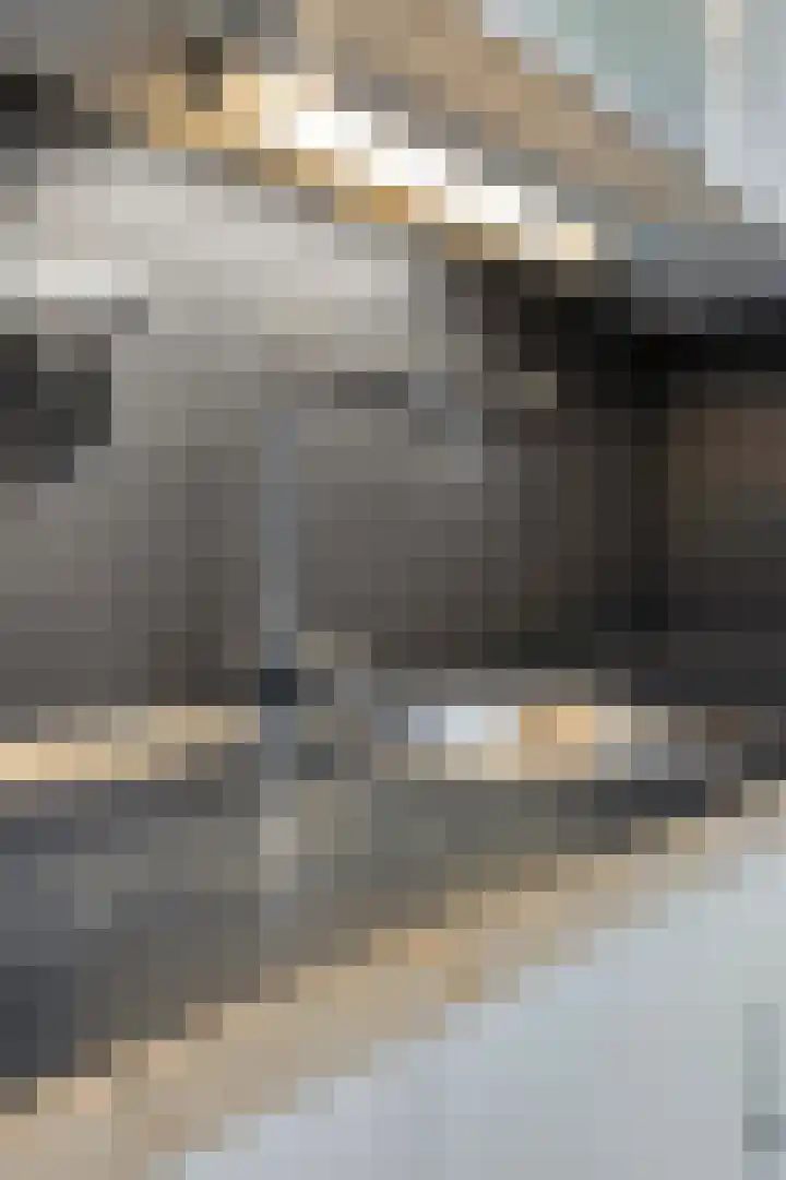 Centauriestraat 27 Eindhoven thumbnail 19