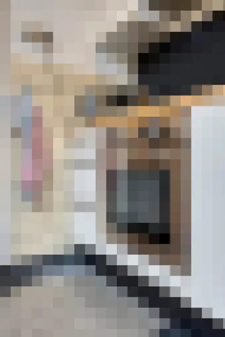 Centauriestraat 27 Eindhoven thumbnail 20