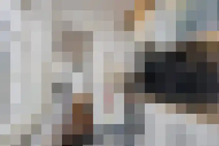 Centauriestraat 27 Eindhoven thumbnail 22